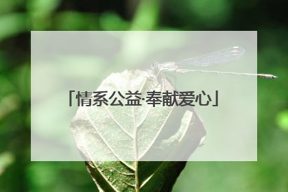 情系公益·奉献爱心