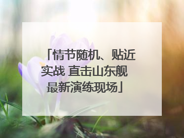 情节随机、贴近实战 直击山东舰最新演练现场