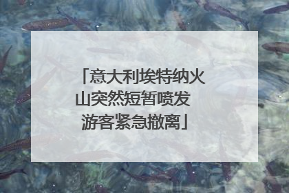 意大利埃特纳火山突然短暂喷发 游客紧急撤离