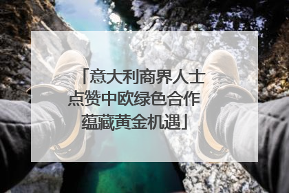 意大利商界人士点赞中欧绿色合作蕴藏黄金机遇