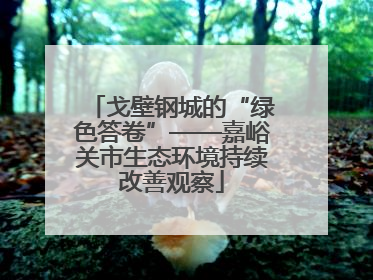 戈壁钢城的“绿色答卷”——嘉峪关市生态环境持续改善观察