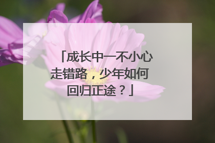 成长中一不小心走错路，少年如何回归正途？