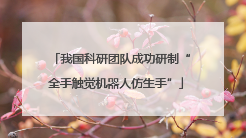 我国科研团队成功研制“全手触觉机器人仿生手”