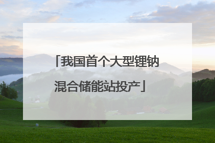 我国首个大型锂钠混合储能站投产