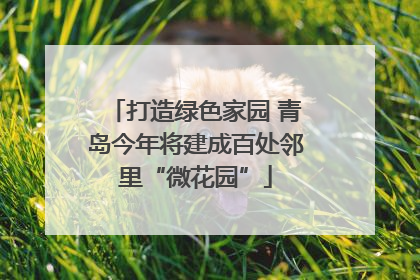 打造绿色家园 青岛今年将建成百处邻里“微花园”