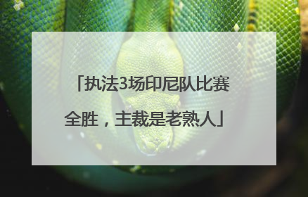 执法3场印尼队比赛全胜，主裁是老熟人