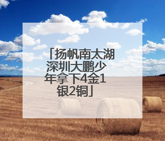 扬帆南太湖 深圳大鹏少年拿下4金1银2铜