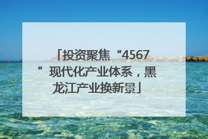 投资聚焦“4567”现代化产业体系，黑龙江产业换新景