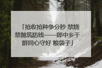 抢收抢种争分秒 禁烧禁抛筑防线——郎中乡干群同心守好 粮袋子