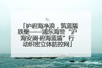 护碧海净浪，筑蓝盾铁壁——浦东海警“沪海安澜·碧海蓝盾”行动织密立体防控网