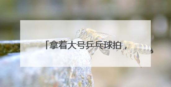 拿着大号乒乓球拍，在羽毛球场地打网球！这项运动正风靡江城
