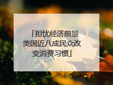 担忧经济前景 美国近八成民众改变消费习惯