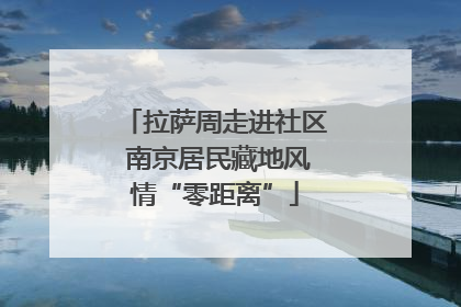 拉萨周走进社区 南京居民藏地风情“零距离”
