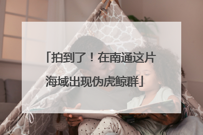 拍到了！在南通这片海域出现伪虎鲸群