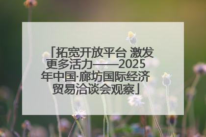 拓宽开放平台 激发更多活力——2025年中国·廊坊国际经济贸易洽谈会观察