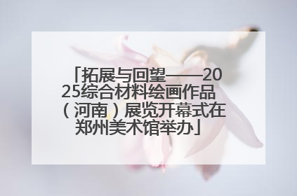 拓展与回望——2025综合材料绘画作品（河南）展览开幕式在郑州美术馆举办