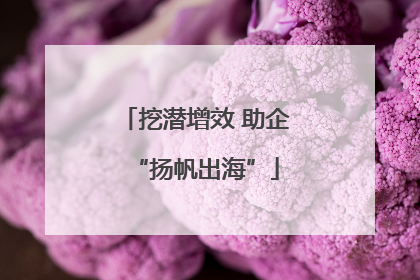挖潜增效 助企“扬帆出海”