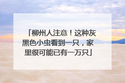 柳州人注意！这种灰黑色小虫看到一只，家里很可能已有一万只