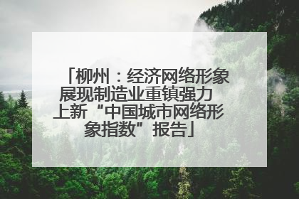 柳州：经济网络形象展现制造业重镇强力 上新“中国城市网络形象指数”报告