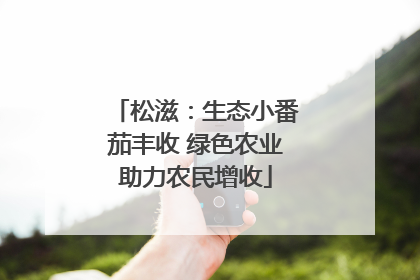 松滋：生态小番茄丰收 绿色农业助力农民增收