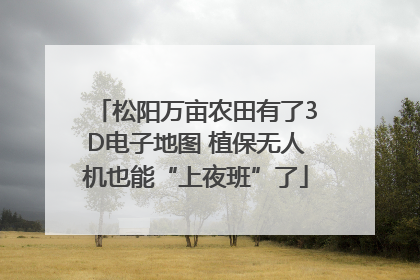 松阳万亩农田有了3D电子地图 植保无人机也能“上夜班”了