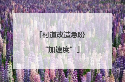 村道改造急盼“加速度”