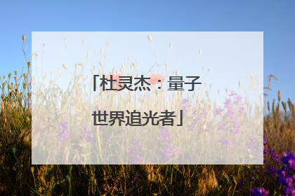杜灵杰：量子世界追光者