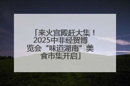 来火宫殿赶大集！2025中非经贸博览会“味道湖南”美食市集开启