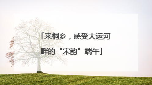 来桐乡，感受大运河畔的“宋韵”端午