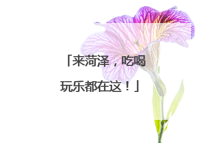 来菏泽，吃喝玩乐都在这！