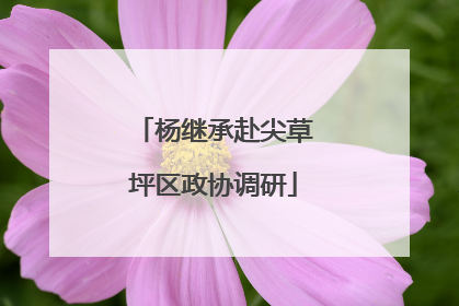 杨继承赴尖草坪区政协调研