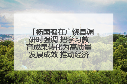 杨国强在广饶县调研时强调 把学习教育成果转化为高质量发展成效 推动经济稳健向好进中提质