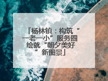 杨林镇：构筑“一老一小”服务圈 绘就“朝夕美好”新图景