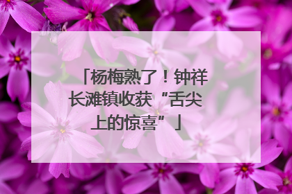杨梅熟了！钟祥长滩镇收获“舌尖上的惊喜”