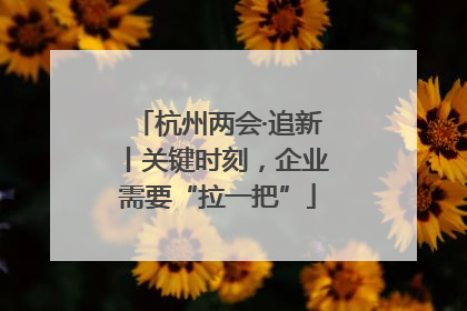 杭州两会·追新丨关键时刻，企业需要“拉一把”