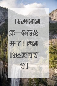 杭州湘湖第一朵荷花开了！西湖的还要再等等