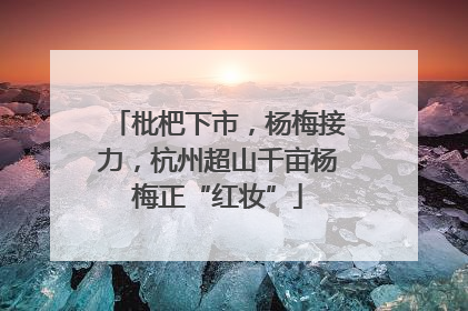 枇杷下市，杨梅接力，杭州超山千亩杨梅正“红妆”