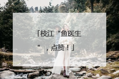 枝江“鱼医生”，点赞！