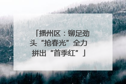 播州区：铆足劲头“抢春光”全力拼出“首季红”