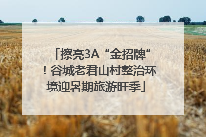 擦亮3A“金招牌”！谷城老君山村整治环境迎暑期旅游旺季