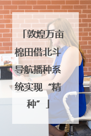 敦煌万亩棉田借北斗导航播种系统实现“精种”
