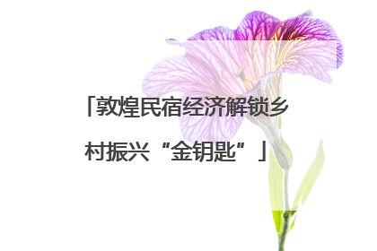 敦煌民宿经济解锁乡村振兴“金钥匙”