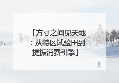 方寸之间见天地：从特区试验田到提振消费引擎
