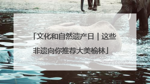 文化和自然遗产日｜这些非遗向你推荐大美榆林