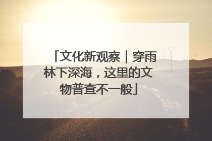 文化新观察｜穿雨林下深海，这里的文物普查不一般
