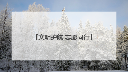 文明护航 志愿同行