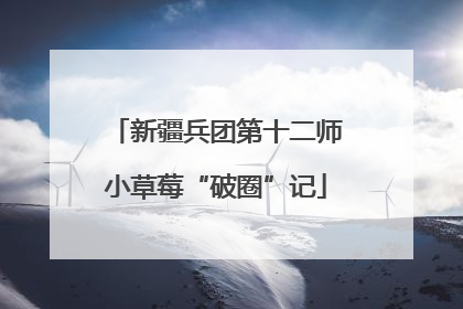 新疆兵团第十二师小草莓“破圈”记