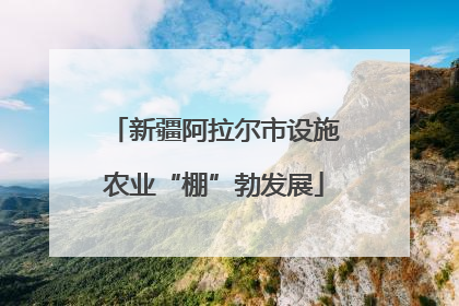 新疆阿拉尔市设施农业“棚”勃发展
