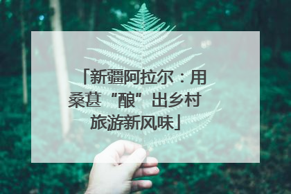 新疆阿拉尔：用桑葚“酿”出乡村旅游新风味