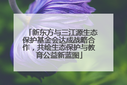 新东方与三江源生态保护基金会达成战略合作，共绘生态保护与教育公益新蓝图